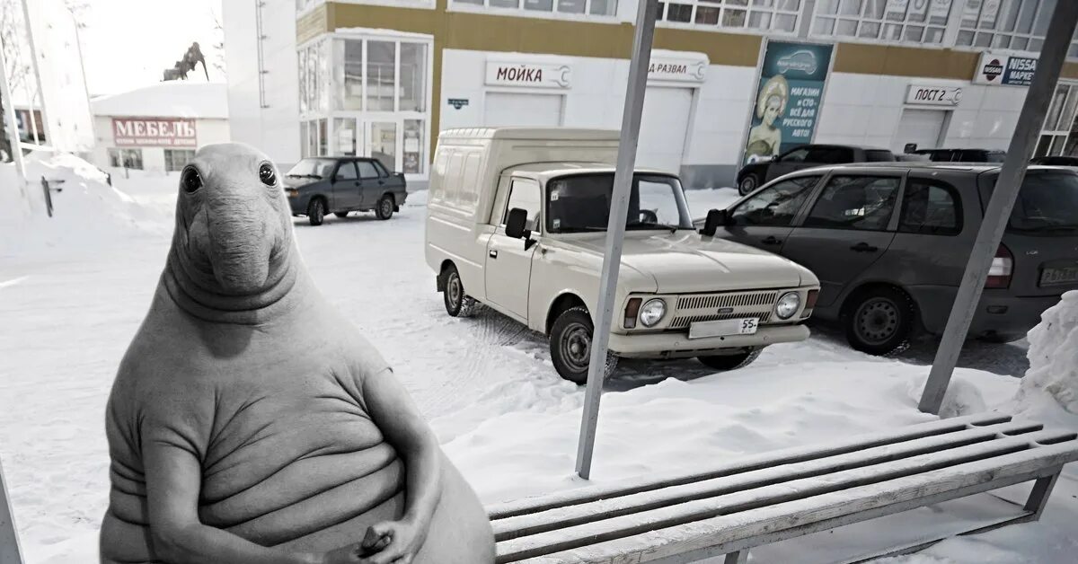 Остановите эту зиму