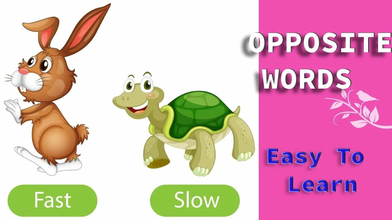 Opposite lane slowed. Fast slow. Fast slow картинки для детей. Карточки opposites. Opposite of clean.