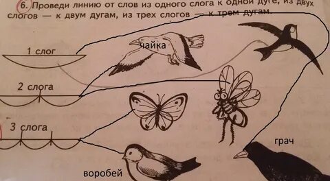 Схема слова воробей