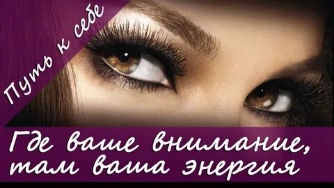 Где твое внимание