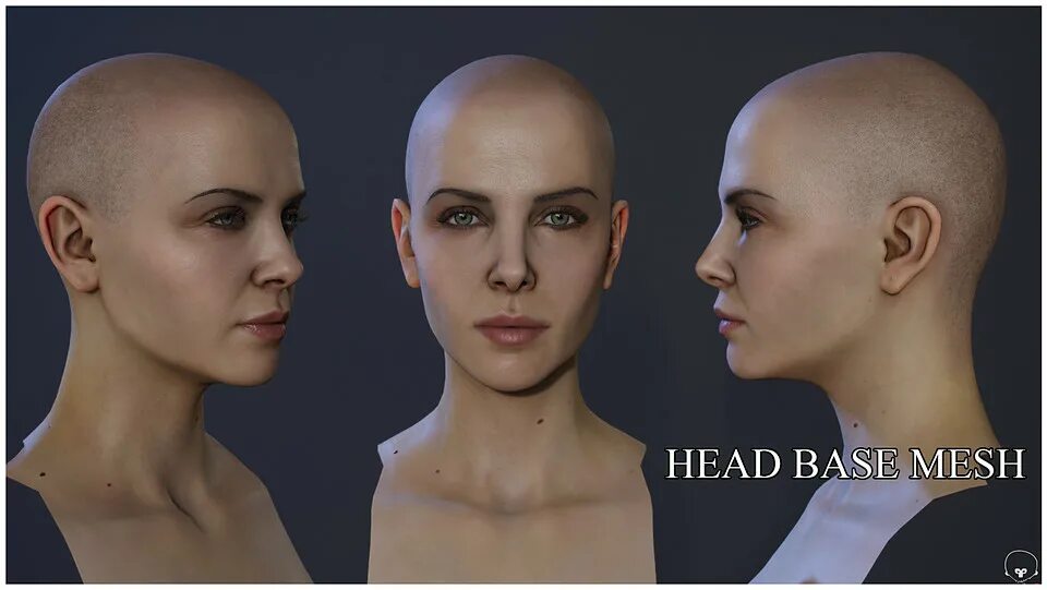 Base Mesh head. Zbrush head Base Mesh. Female Base Mesh. Budsforbudies голова Bases. Based heads