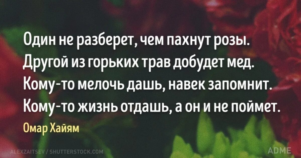 Жизнь отдай не поймет. Омар Хайям высказывания. Другому жизнь отдашь а он и не поймет. Омар Хайям жизнь отдашь. Высказывания , один не разберет чем пахнут розы другой.