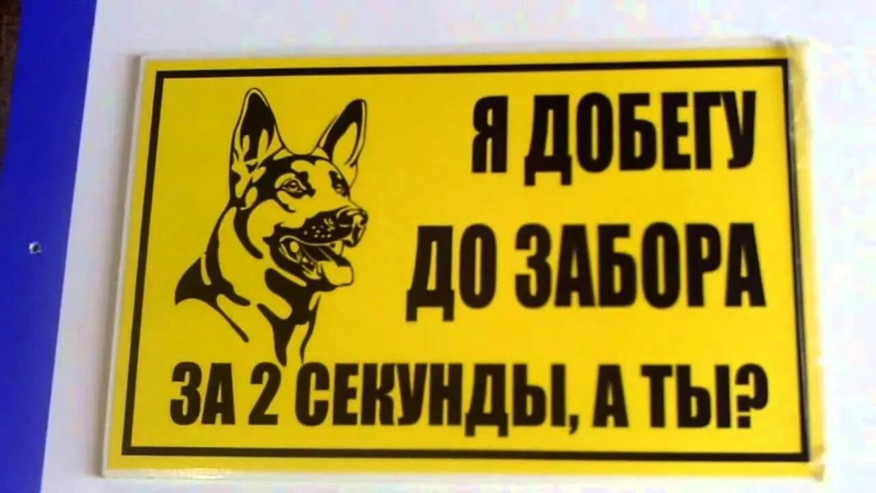 Табличка "злая собака". Табличка осторожно злая собака. Вывеска злая собака прикольная. Смешные таблички про собак. Злая собака что делать