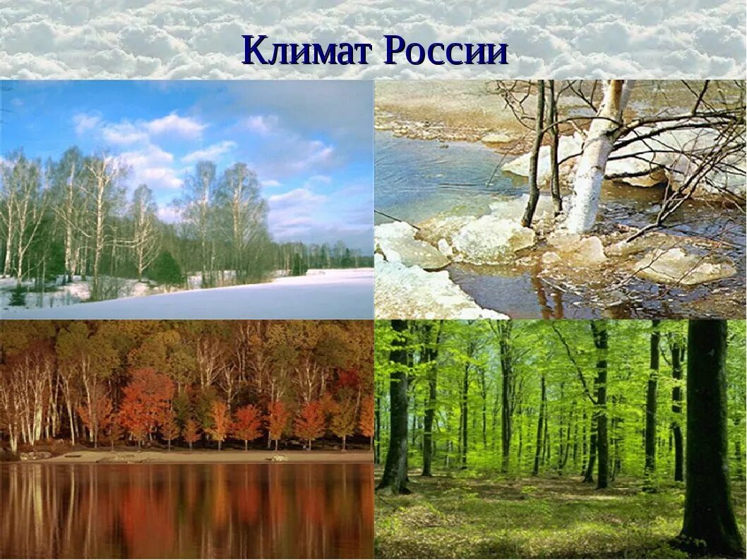 Климатические особенности края. Климат России. Разнообразие климата. Разнообразие климата России. Тема климат России.