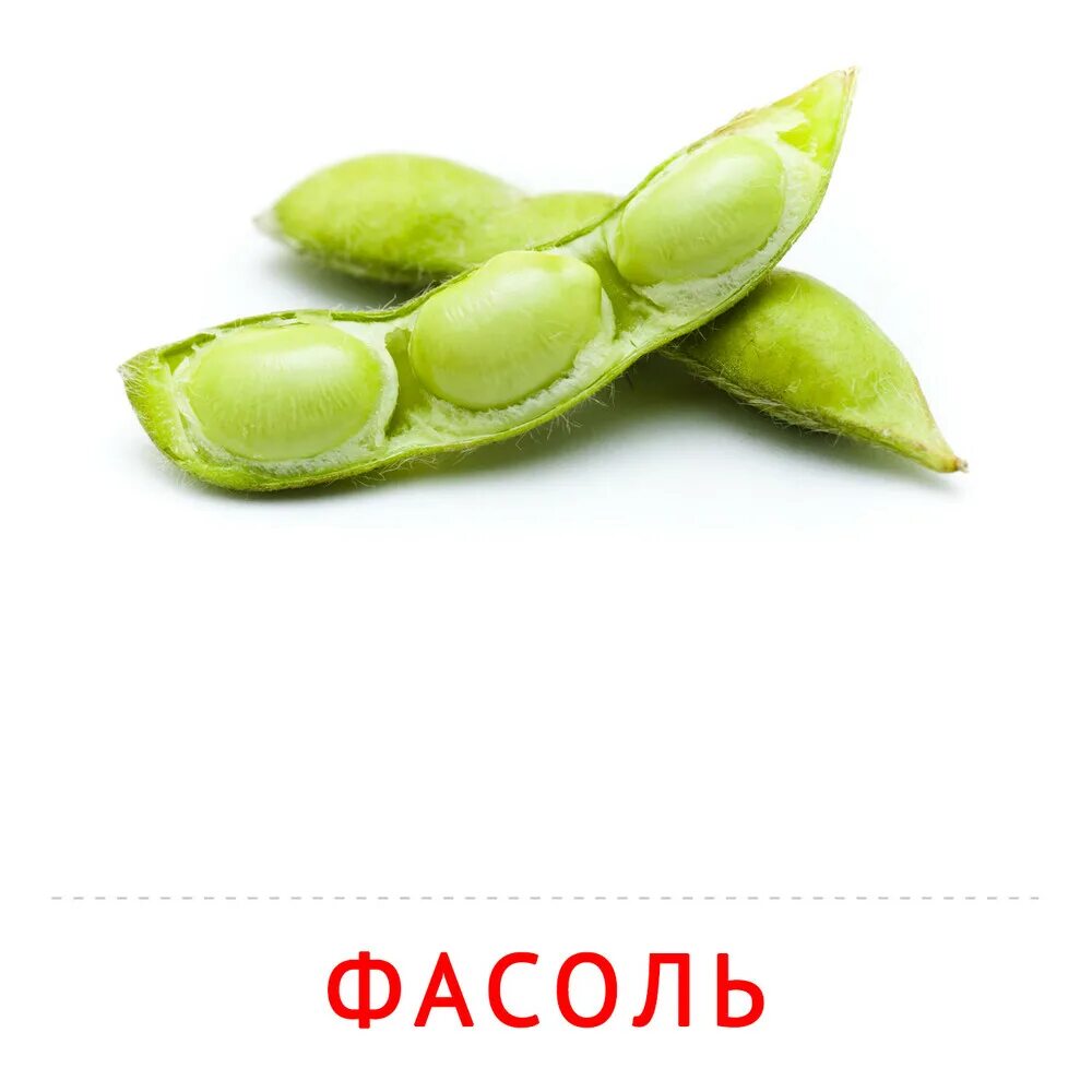 Можно фасоль ребенку в год. Карточка фасоль. фасоль для детей. карточки овощи фасоль. карточки домана фасоль.