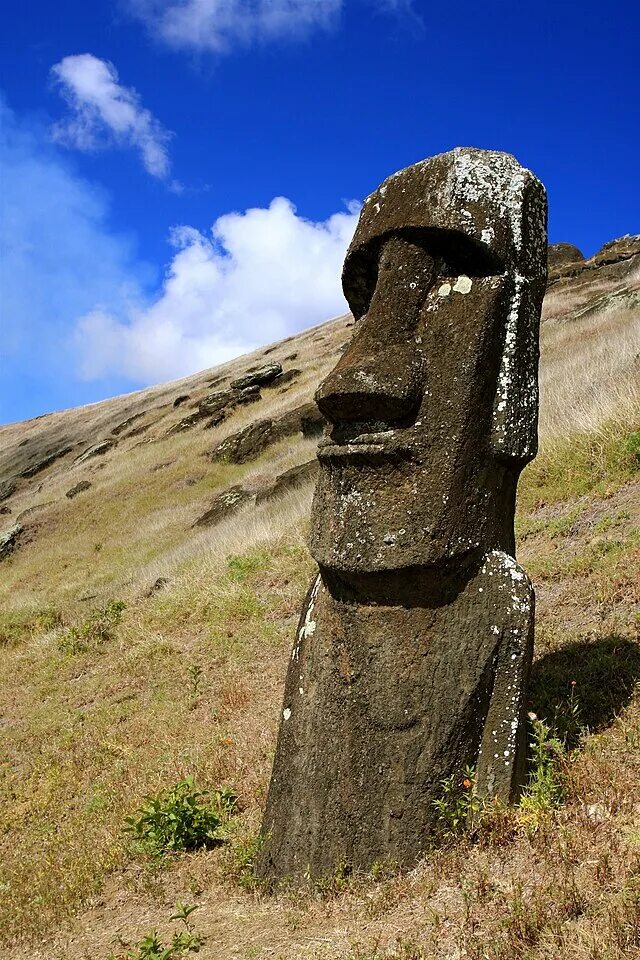 Идол пасхи. Моаи на острове Пасхи. Остров Пасхи статуи Моаи. Каменные истуканы острова Пасхи. Статуи Моаи наследие ЮНЕСКО.