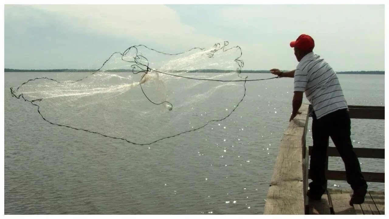 Ловить рыбу кастинговой. Рыболовная снасть кастинговая сеть. Рыболовная сетка-ЛОВУШКА FINDFISH. Супер ЛОВУШКА для рыбы FINDFISH. Заброс кастинговой сети с кольцом.