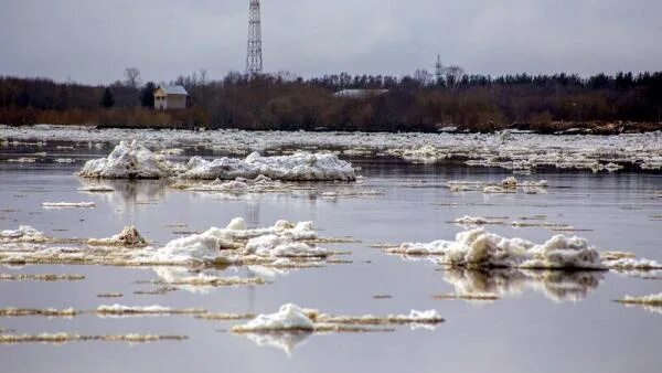 Ледоход на северной двине 2024. Ледоход на Северной Двине. Ледоход на Северной Двине в 2023г.. Ледоход в Котласе Архангельской области. Котлас ледоход.