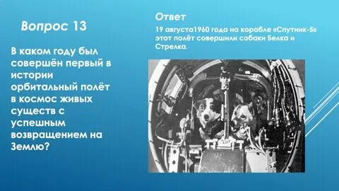 Какое животное совершил первый орбитальный космический полет