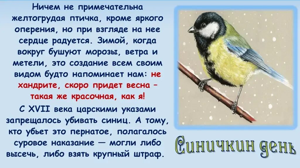 Синичкин день. День синицы. День синички 12 ноября. Синичкин день когда отмечается.