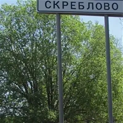 Подслушано луга в контакте. Скреблово. Совхоз Скреблово Лужский район. Мероприятия Скреблово. Посёлок Скребово прослушано.