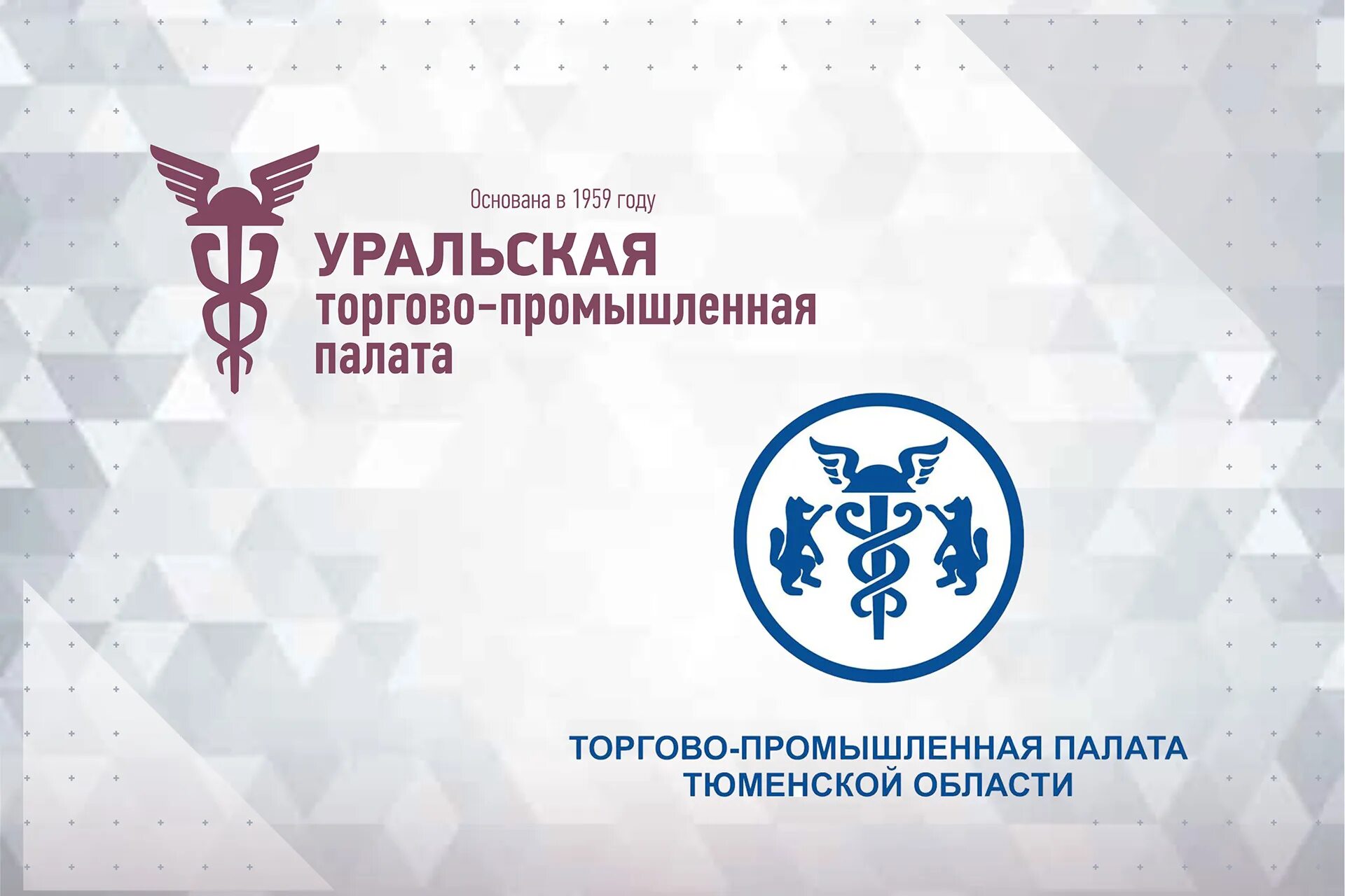 Уральская промышленная палата екатеринбург. Уральская тпп лого. Уральская торгово-промышленная палата. Двмс лого. Какой филиал.