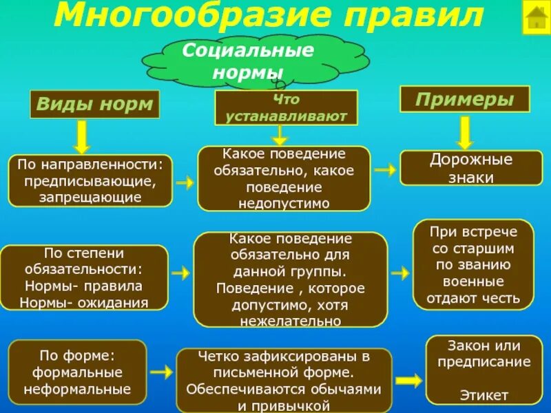 Нормы этикета примеры социальные нормы. Виды правил поведения. Правила социальных норм. Виды правил по направленности. Правила социального поведения.