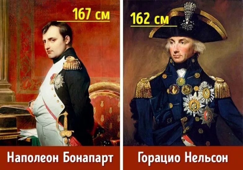 Рост Наполеона 1 Бонапарта. Какого роста был Наполеон 1 Бонапарт. Наполеон 1 рост. Наполеон i Бонапарт рост. Наполеон бонапарт рост в см
