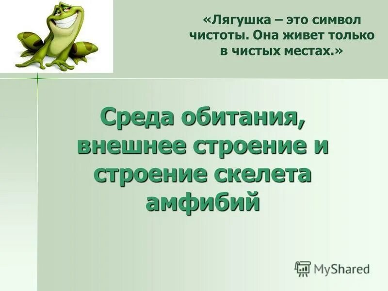 пересказ лягушка путешественница. основная мысль рассказа лягушка путешественница. лягушка путешественница характеристика лягушки. какое качество характера помешало лягушке. лягушка путешественница план.