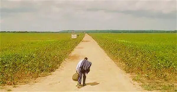 Walk the same line. Walk the same line