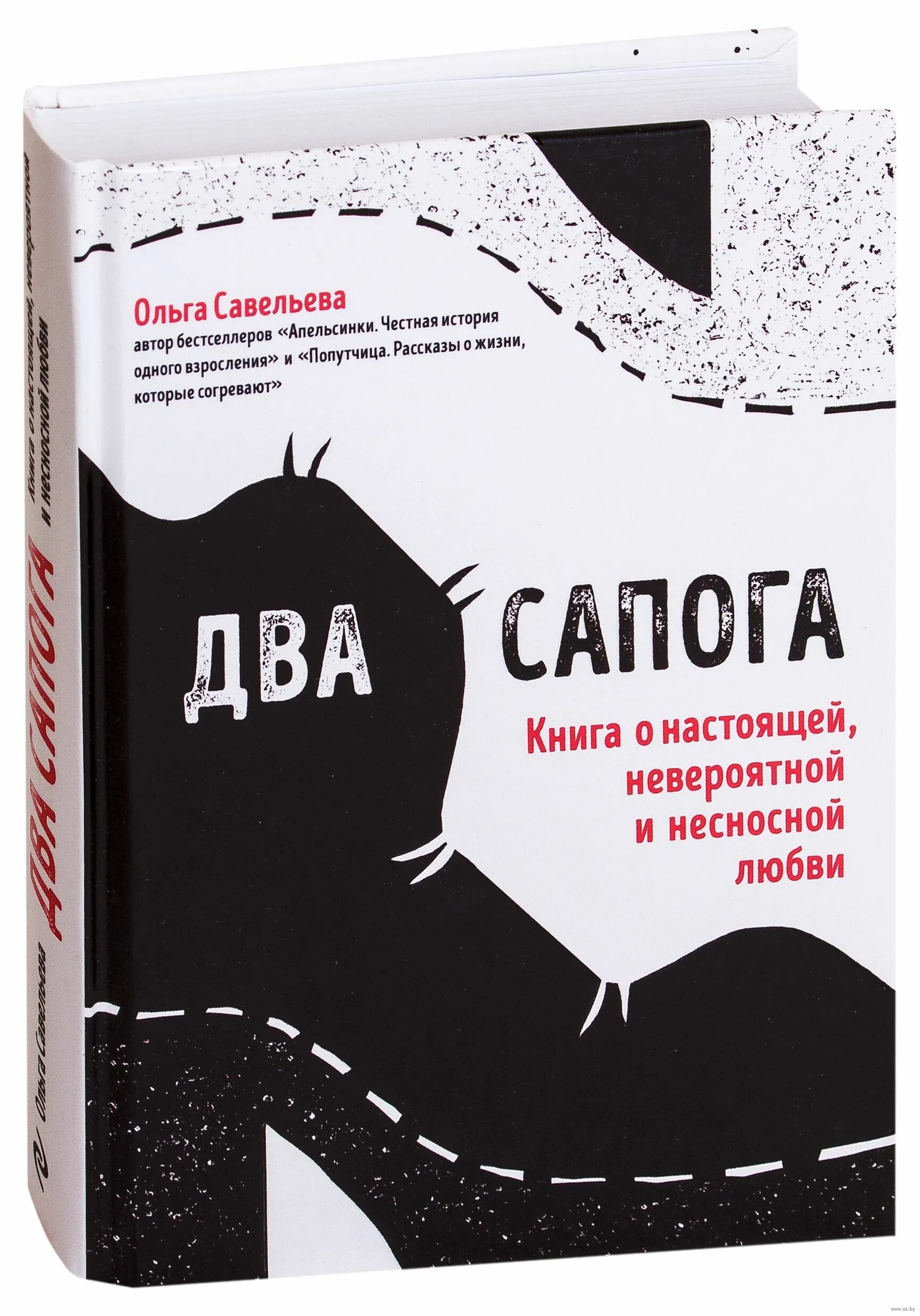 котики два сапога пара. два сапога пара. два сапога пара книга. савельева о. сочинение два сапога пара.