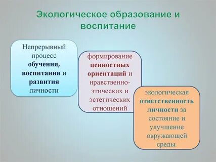Процесс экологического образования дошкольников
