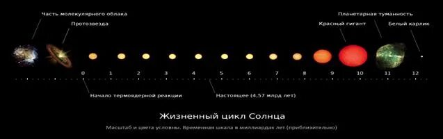 Финал эволюции звезды 7 букв