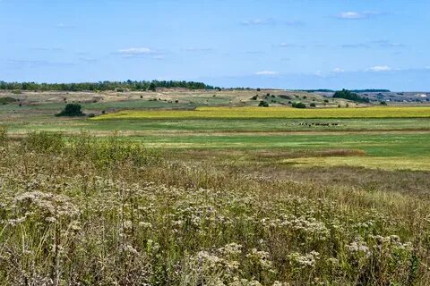 Ландшафт восточно европейской равнины