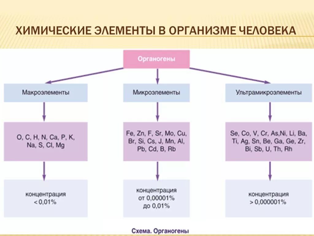 Химические элементы в организме человека 7 класс. Химические элементы микроэлементы роль в организме человека. Химические элементы и их соединения в организме человека. Макроэлементы микроэлементы и ультрамикроэлементы. Микроэлементы и макроэлементы в организме человека таблица.