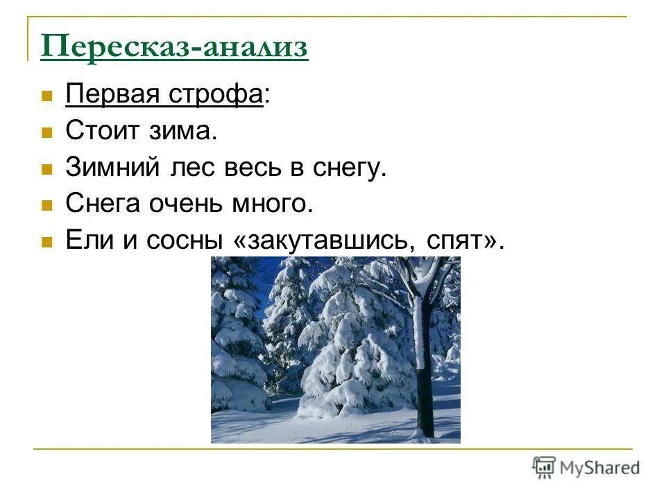 Дополнить текст пропущенные слова. Зимний лес для презентации. Рассказ краски зимнего леса. Пороша. Текст описание зимнего леса 4 класс.