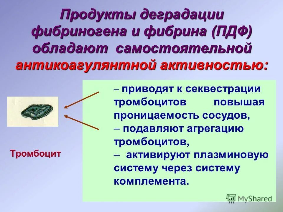 продукты распада фибриногена. продукты деградации. продукты деградации.