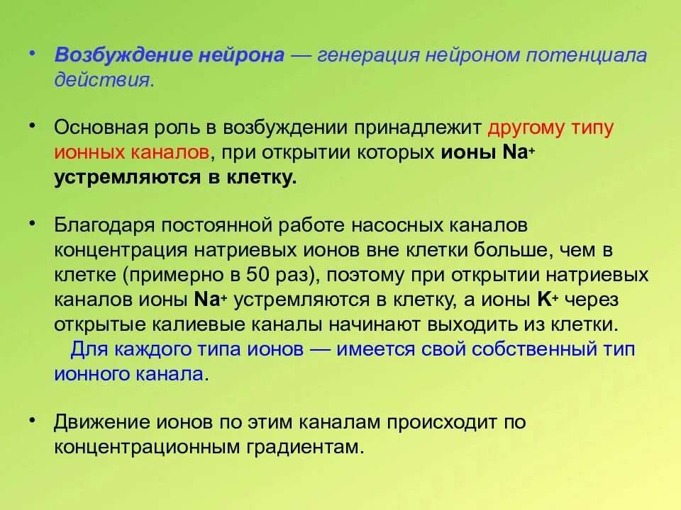 Процесс возбуждения нервных клеток. Возбуждение нейрона. Возбуждение нервной клетки. Возбуждение в нейроне физиология. Механизм развития возбуждения в нервной клетке.