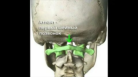 Поставь атланту