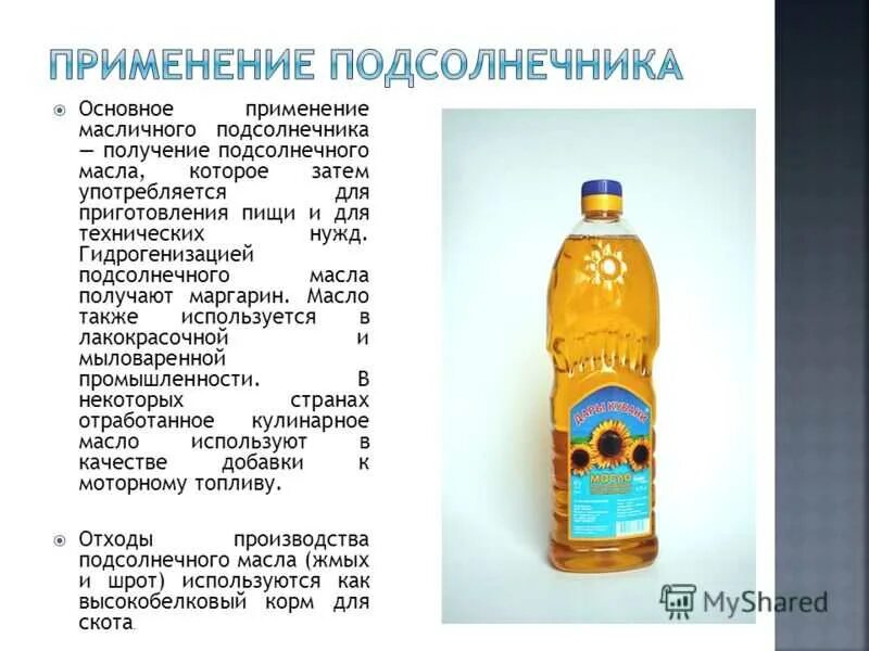 Растительное масло получают с использованием бактерий. Производство подсолнечного масла. использование растительных масел. сырье для производства растительного масла. для чего используют растительное масло.