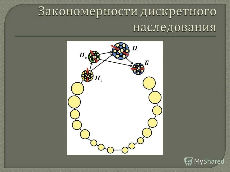 Независимая дискретная единица наследования называется. Независимая дискретная единица наследования называется. Дискретные единицы. Ад тип наследования это. Дигибридное скрещивание независимое наследование признаков.