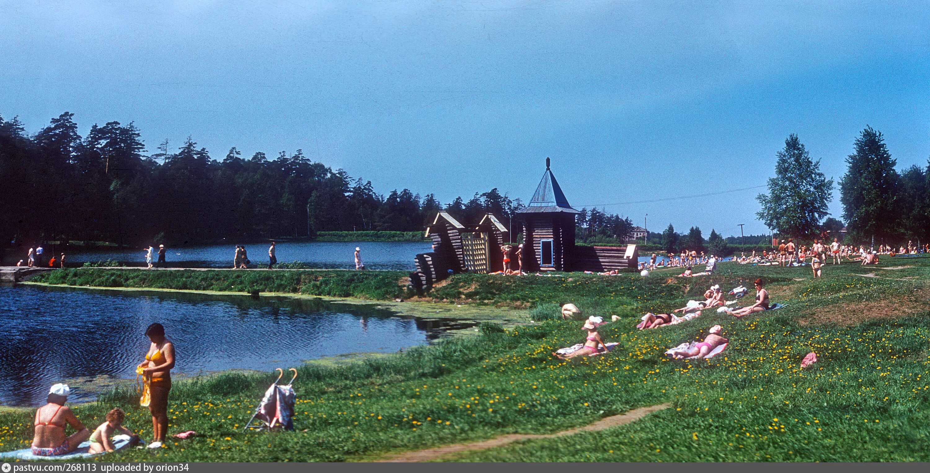 Берендеево царство пруд. Берендеев пруды. Берендеево водоем. Пруды в берендеевке кострома. Берендеев пруды.