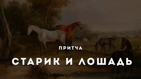 Лошади притчи