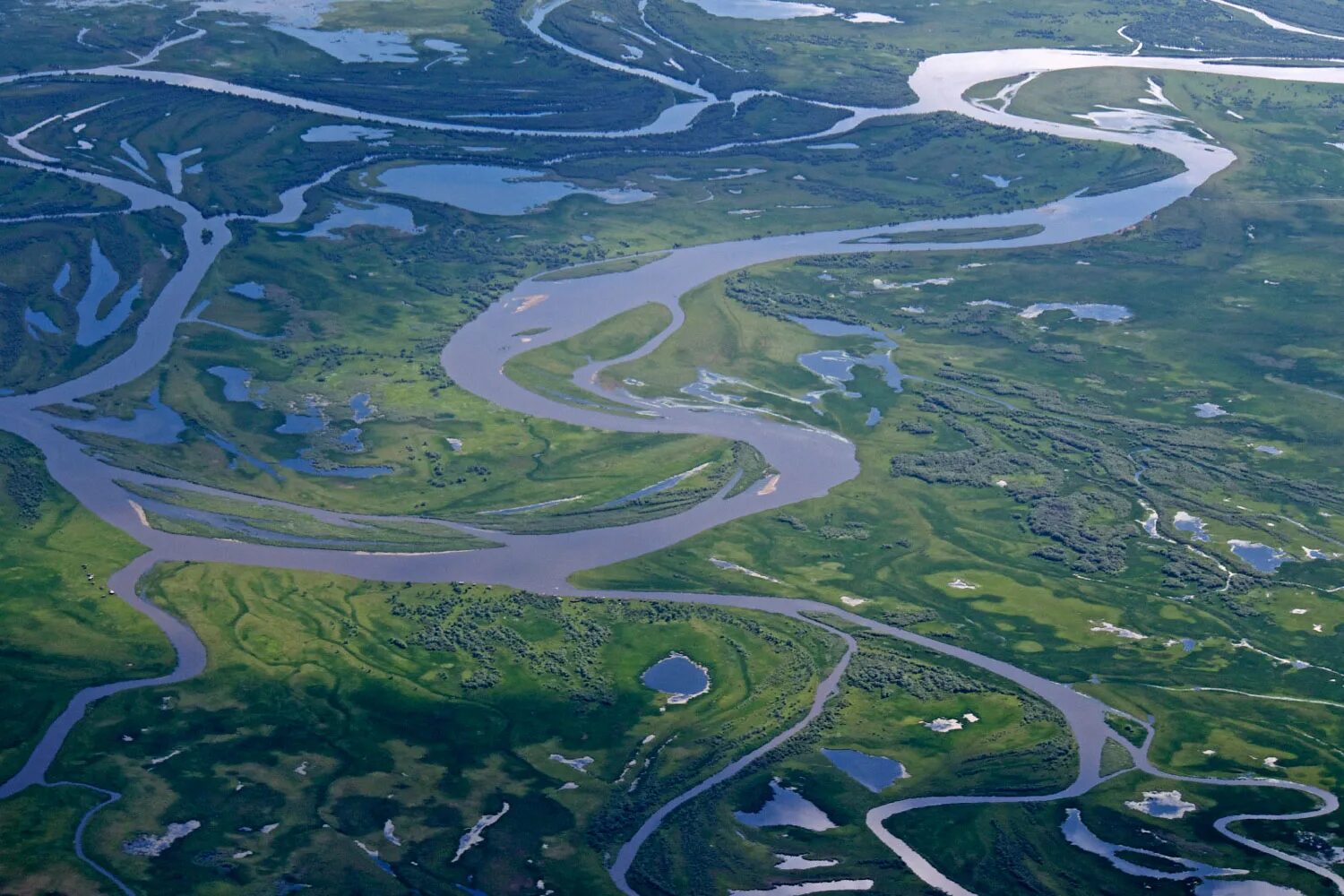 Дельта реки Селенга. Река Селенга впадает в Байкал. Река Селенга Бурятия вид сверху. Дельта реки Селенга озеро Байкал.