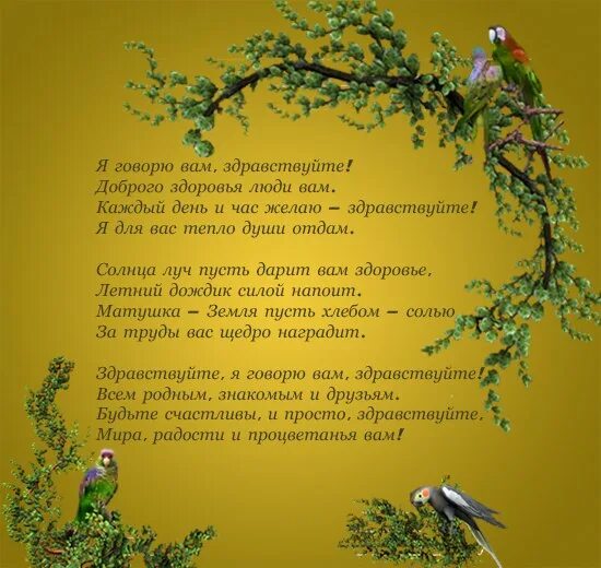 Песня добрый день слова. Здравствуй стихотворение. Стих Здравствуйте. Стих Здравствуйте я говорю вам Здравствуйте. Приветствие в стихах.