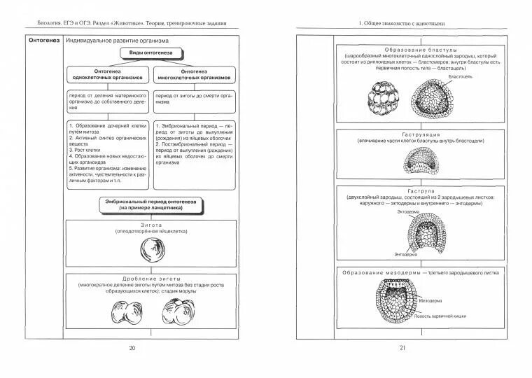 Биология в таблицах и схемах подготовка к ЕГЭ по биологии. ОГЭ по биологии в таблицах и схемах. Биология (ЕГЭ). ЕГЭ по биологии задания.