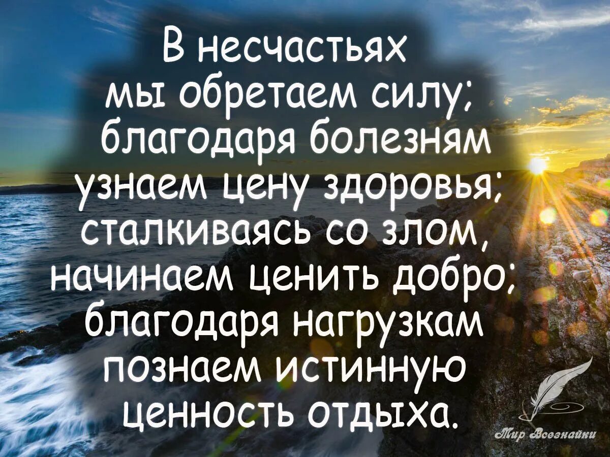 Пора несчастий. Цитаты о ценности жизни. Афоризмы о ценности жизни. Афоризмы о жизни и жизненных ценностях. Фразы о жизненных ценностях.