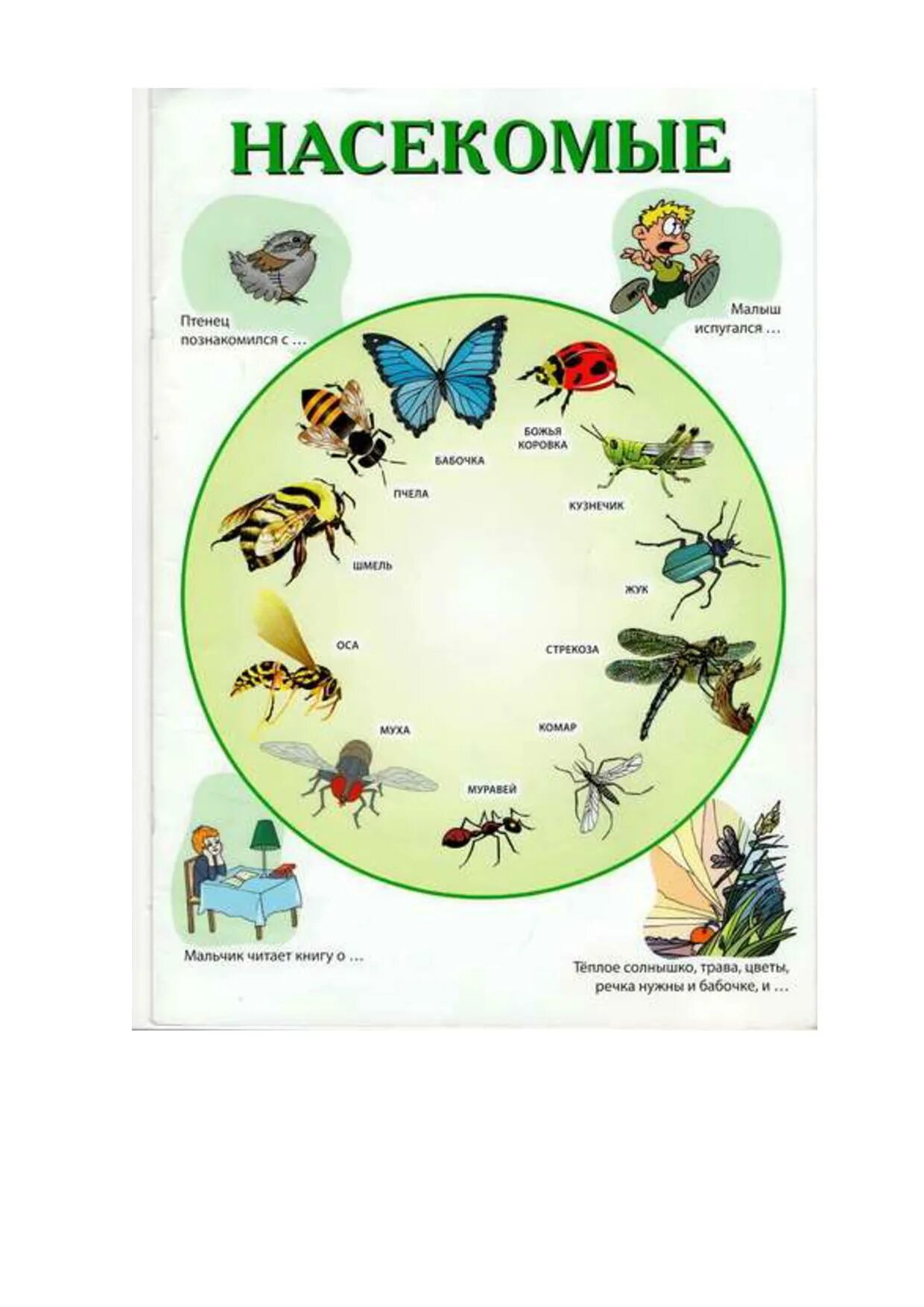 Насекомые для дошкольников. Насекомые задания для дошкольников. Насекомые логопед. Плакат насекомые для детского сада. Тематическая неделя насекомые
