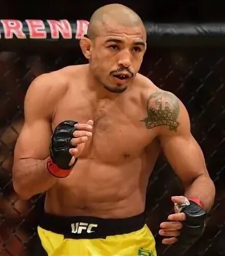 Алдо баутиста. Жозе альдо узбек. Алдо баутиста. Алдо баутиста. Алдо баутиста.