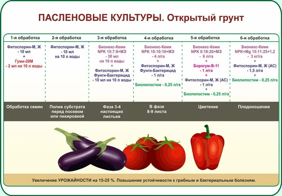 Паслёновые растения список овощей. Паслёновые овощи. Овощи семейства пасленовых. Овощные растения семейства пасленовых. Пасленовые овощи это