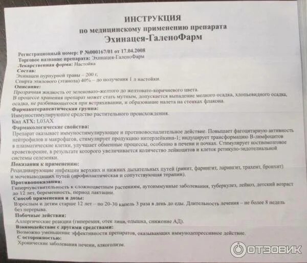 Эхинацея в таблетках для детей. Етм эхинацея премиум капс n30 (бад) (внешторг). Показания к применению эхинацеи. Эхинацея способ применения. Эхинацея способ применения.