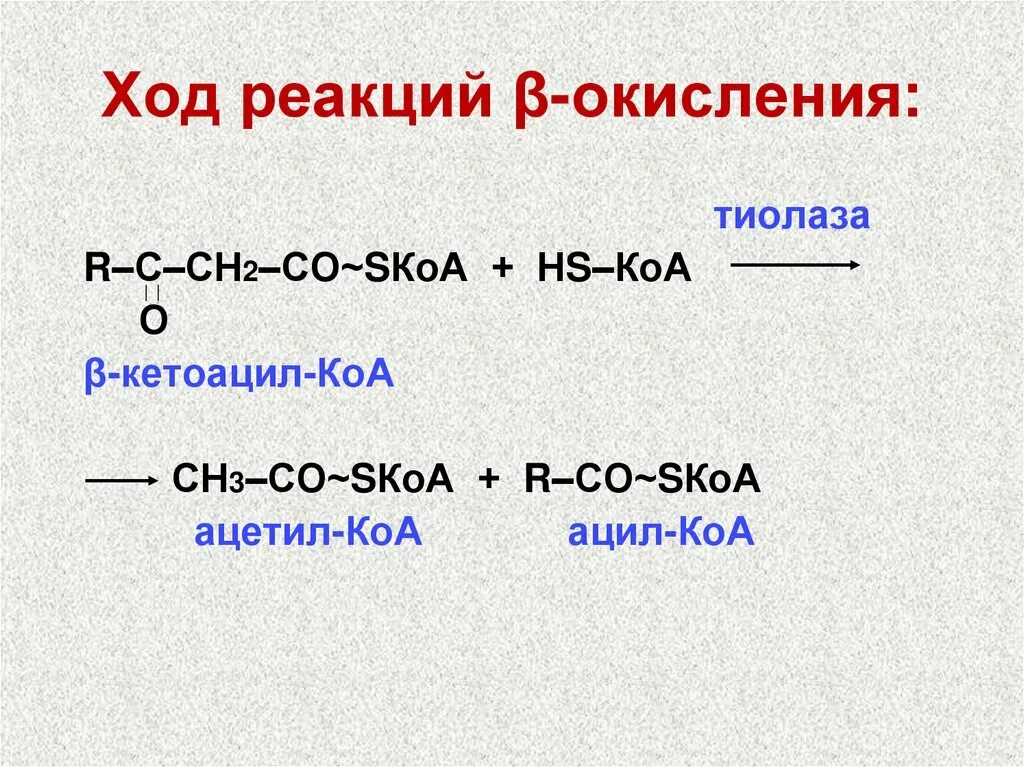 Как получить вторую часть. Кетоацил КОА тиолаза. Окисление пальмитиновой кислоты. Реакции окисления ацил-КОА. Суммарное уравнение синтеза пальмитиновой кислоты.