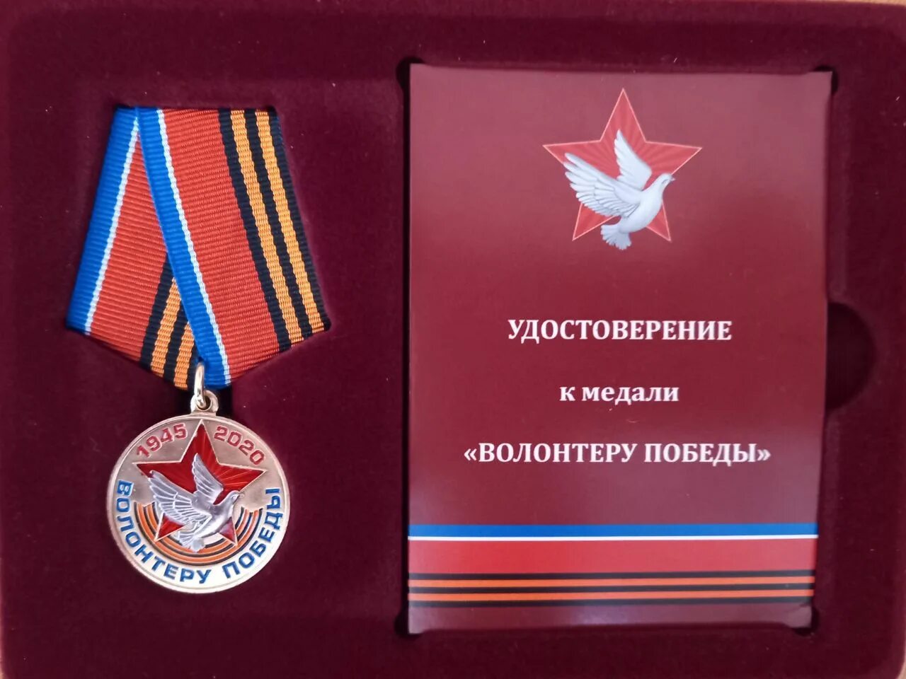 Медаль Доброволец. Медаль волонтера. Орден добровольца. Медаль волонтерам ДНР.