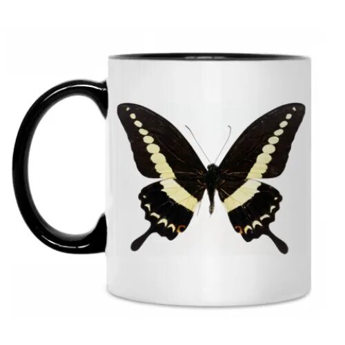 Бабочка с кружками 13 букв. Чашка с бабочками. Бабочка с кружками. Кружка бабочка и листья. Бабочка на чашке Эстетика.
