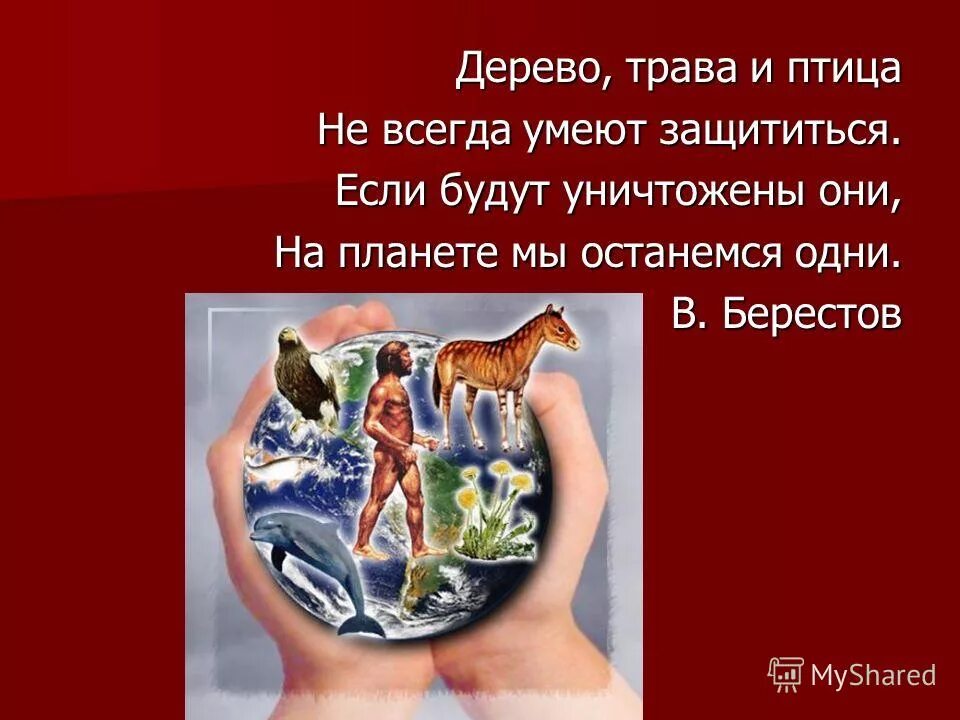 стихотворение j rhfcyjq rybut. стихи про красную книгу россии. стихотворение о красной книге для детей. стих про красную книгу. стих про красную книгу.