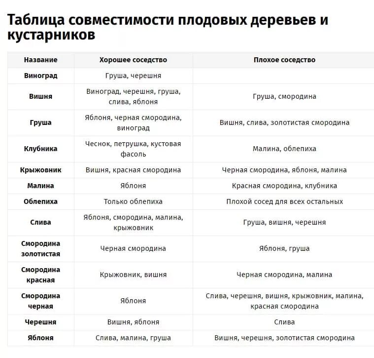 Соседство смородины. Таблица совместимости плодово-ягодных деревьев и кустарников. Совместимость посадки плодовых деревьев и кустарников в саду. Совместимость плодовых деревьев и кустарников в саду таблица. Совместимость ягодных кустарников таблица.