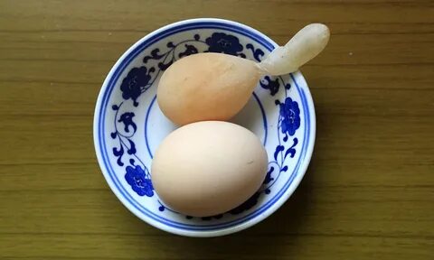 Long egg
