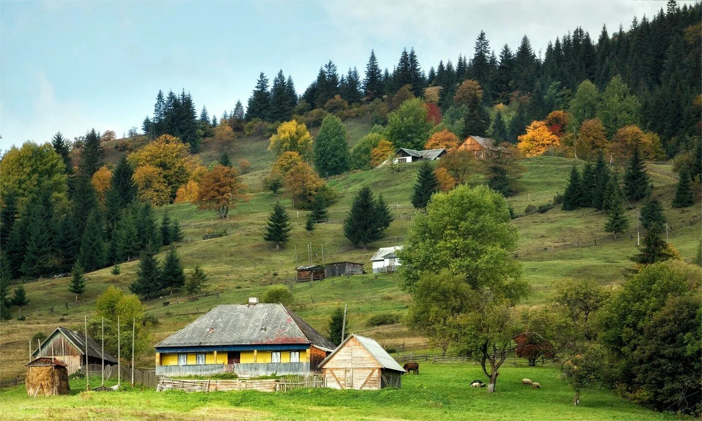Сходница карпаты. Какие карпаты. Среднегорье карпаты. Карпаты верхняя рожанка. Карпатские горы румыния.
