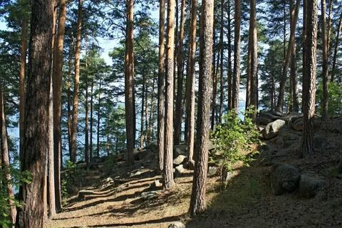 Курорт кисегач