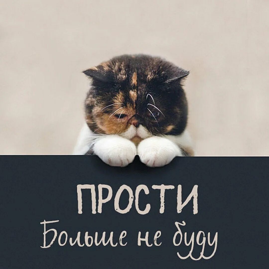 Музыка прощения